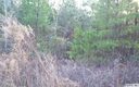 Lot 20 Archer Way sold home in Iron Station, SC