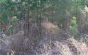 Lot 19 Archer Way sold home in Iron Station, SC