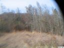 135 Brookview Drive sold home in Shelby, SC