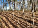 00 Barebridge Drive 16 sold home in Burnsville, SC