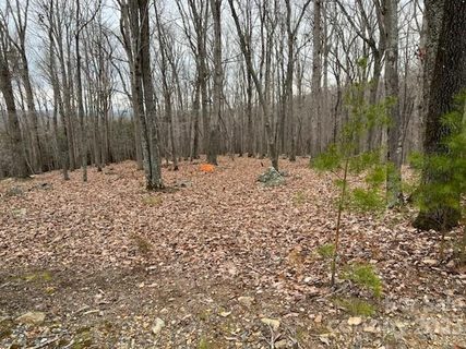 282 Cascading Creek Trail
