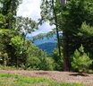 11 Hickory Top Lane sold home in Asheville, SC