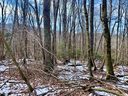 135 Greenbriar Road sold home in Beech Mountain, SC
