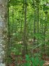 Lot 22 Weatherwood Drive sold home in Lincolnton, SC