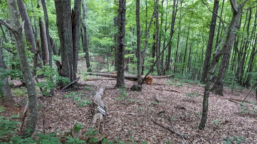 Lot 69 Mountain Crest Drive