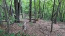 Lot 69 Mountain Crest Drive sold home in Marion, SC