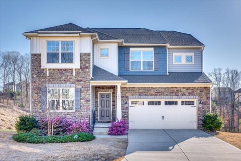 1441 Bryson Gap Drive