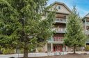 9 Kenilworth Knoll 103 sold home in Asheville, SC