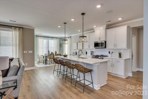 1115 Ashe Meadow Drive