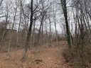 130 High Road Overlook sold home in Hendersonville, SC