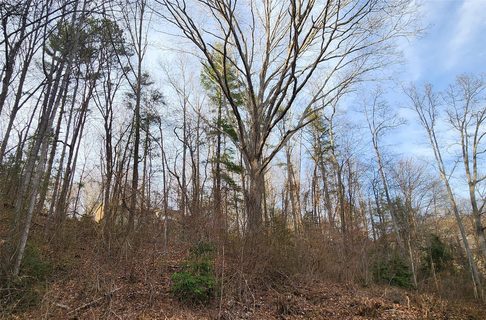 0 Shelby Drive 13 sold lot in The Oaks, Asheville, NC