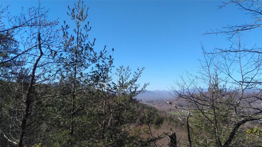 Lot 12 13b Quail Drive