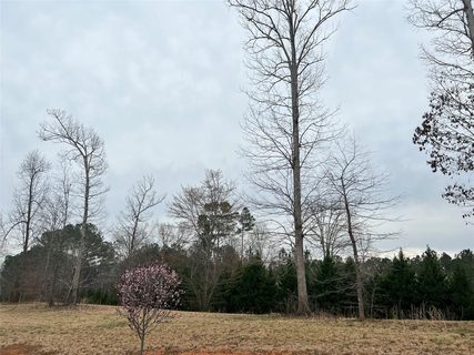 4658 Bristol Drive 18