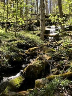 Homes in Cataloochee Mountain Estates, Waynesville