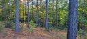 00 Eastman Place 280 sold home in Mill Spring, SC