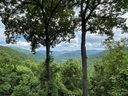 99999 Winding Poplar Road 917 sold home in Black Mountain, SC