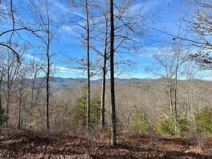 305 Raccoon Run active lot in French Broad Crossing, Marshall, NC