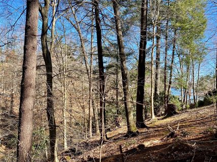 199 Lentz Landing Lane 20 sold home in Waterglyn, Nebo, NC