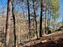 199 Lentz Landing Lane 20 sold home in Nebo, SC