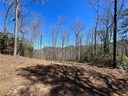 220 Cheyenne Falls Trail 58 sold home in Black Mountain, SC