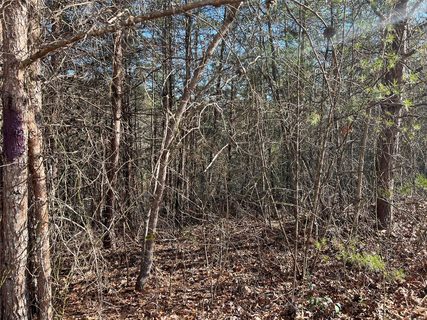 4801 Pea Ridge Road sold home in Deer Creek, Morganton, NC