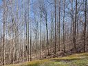 312 Boundary Tree Pass None sold home in Arden, SC