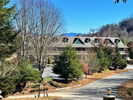 2541 Wolf Laurel Road 210