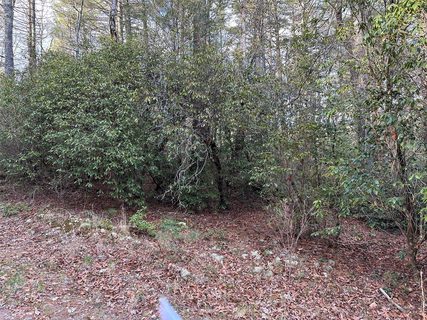 9999 Leamon Drive sold lot in Sugar Creek, Cedar Mountain, NC