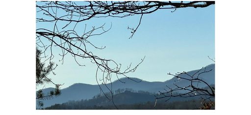0 Black Gum Drive sold lot in Black Rock Falls, Rutherfordton, NC