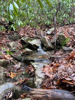 Lot 58 Lost Panther Road sold home in Ridge Haven, Brevard, NC