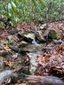 Lot 58 Lost Panther Road sold home in Brevard, SC