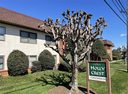 427 6th Avenue B-7 sold home in Hendersonville, SC