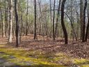 000 Sherwood Drive 13 sold home in Flat Rock, SC