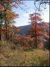 102 Trillium Lane C-3 sold home in Black Mountain, SC
