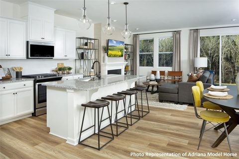 1215 Bigelow Street 293 Adriana Craftsman