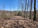 435 Pine Cone Trail sold home in Marshall, SC
