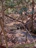 368 Campbell Drive sold home in Pisgah Forest, SC