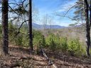 0 Deer Jump Trail 354 sold home in Lake Lure, SC