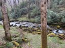 Lot 86b Reservation Road 86B sold home in Maggie Valley, SC