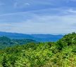 Lot E3 Marble Heights sold home in Hendersonville, SC