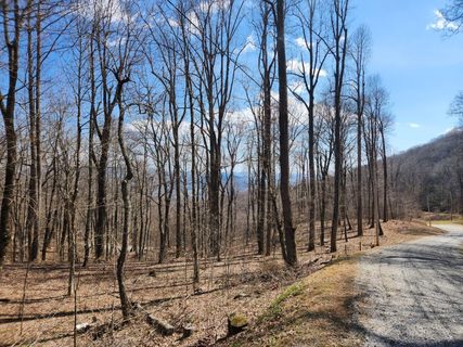 00 Zurich Road 33 sold lot in Rich Knob Estates, Spruce Pine, NC