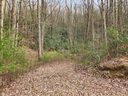 0 Trillium Lane 17 sold home in Rosman, SC