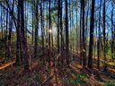 8715 Brookgreen Drive sold home in Charlotte, SC