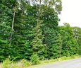 8720 Vagabond Road sold home in Charlotte, SC