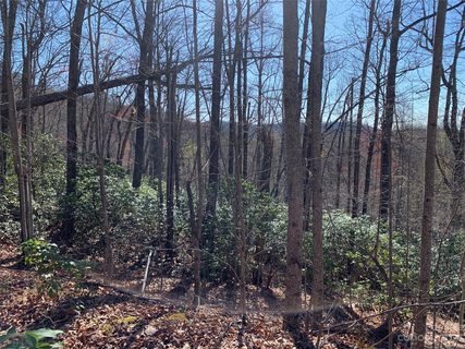 Tbd Rhododendron Drive 740