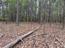920 Tamary Way 22 sold home in Landis, SC