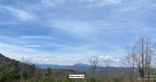 Lot 68 Peppervine Circle