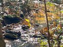 Lot 30 S Cross Creek Trail sold home in Mill Spring, SC