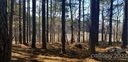 39 Tallwood Drive sold home in Denver, SC