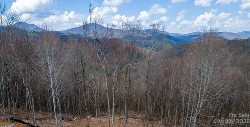Tbd Lot 33 Poplar Forest Drive sold home in Poplar Forest, Boone, NC